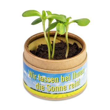 Pote para plantas “Cup-U-Seed-O” com sementes